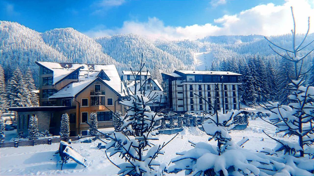 Casa Vinga - Restaurant&Jacuzzi Hotell Poiana Brasov Exteriör bild